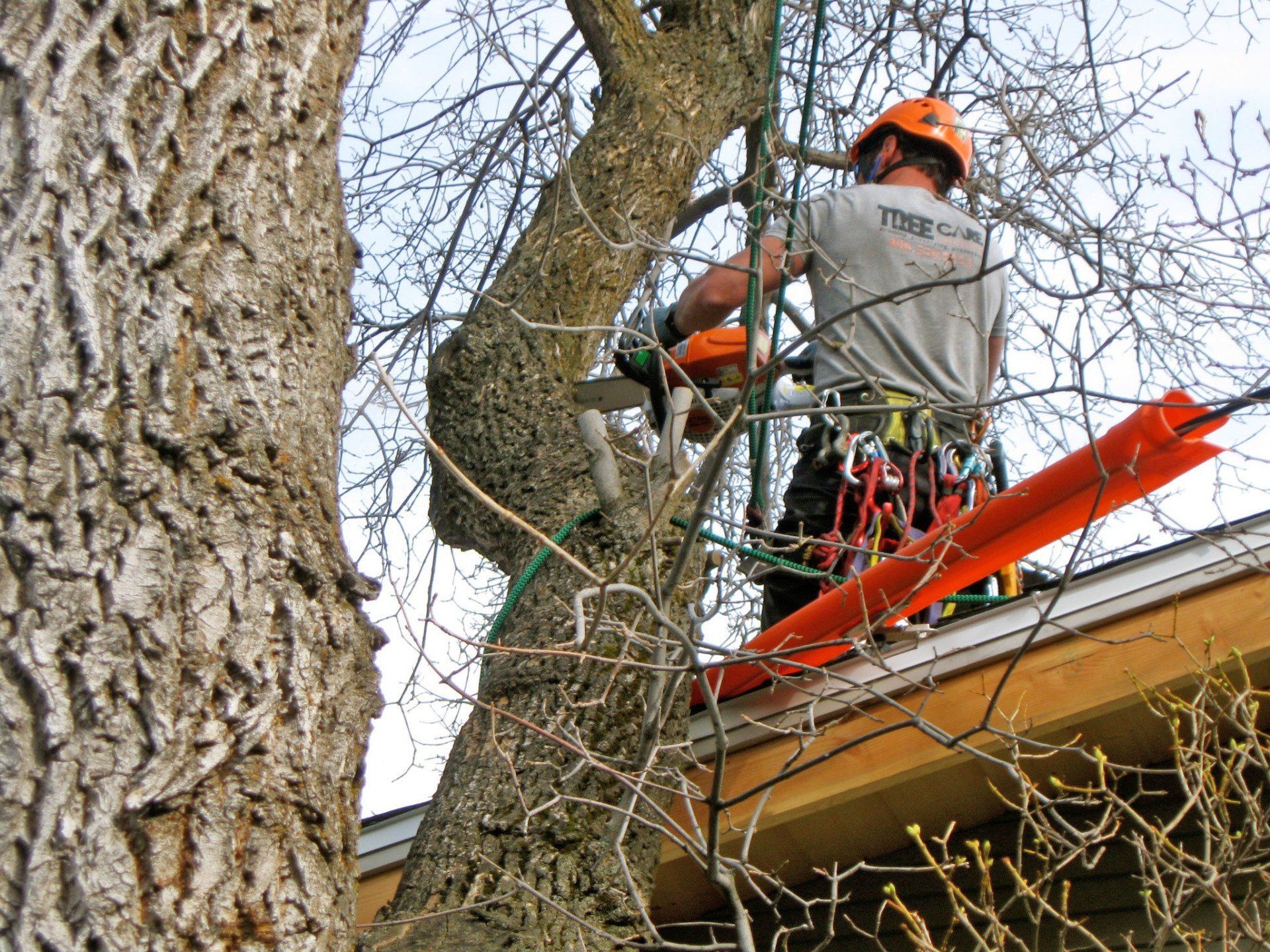A man is cutting a tree on the roof of a house.