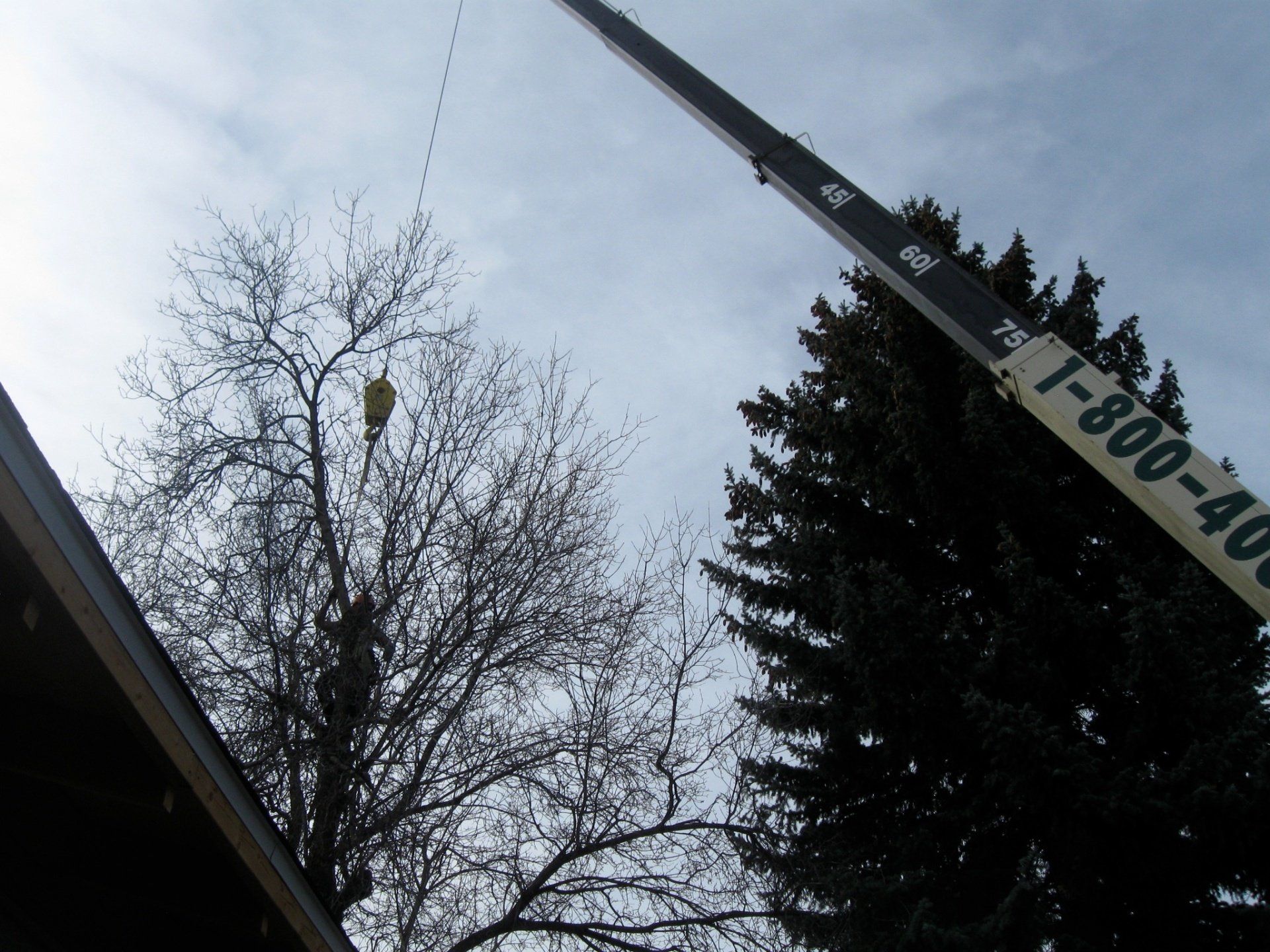 A crane with the number 1-800-40 on it