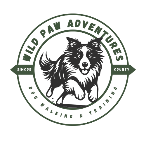 Logo: Border collie in a green circle,