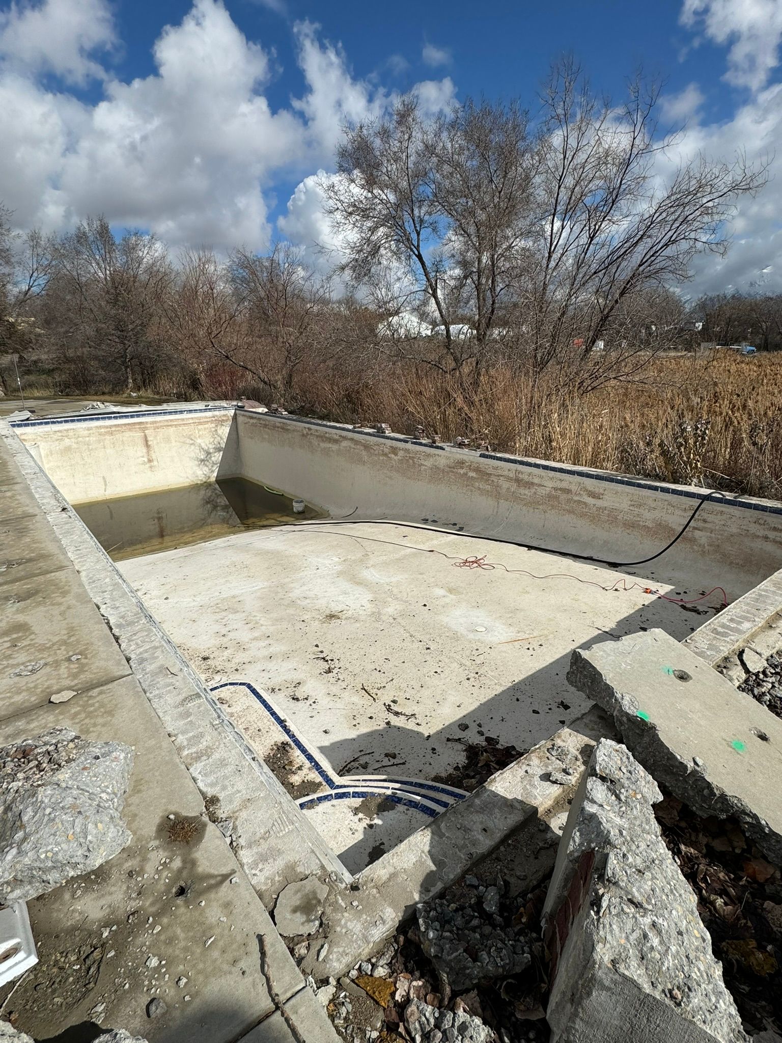 An empty, rectangular concrete swimming pool in a field with scattered debris, bare trees, and a cloudy blue sky above.
