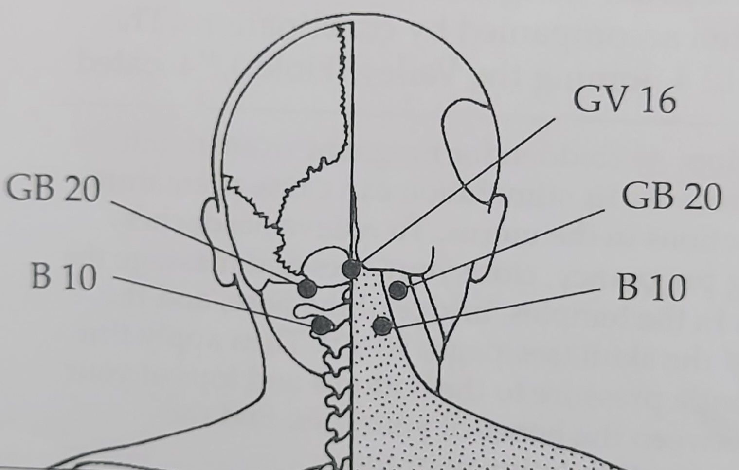 GB 20 -Gall Balder pressure point