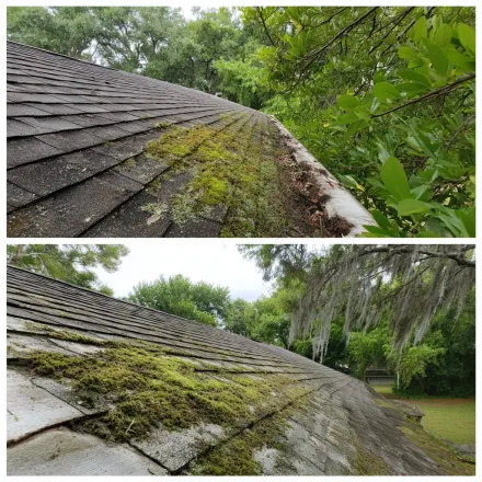 Emergency Brandon FL roofing contractors applying tarp systems, replacing compromised flashing, and installing Owens Corning SureNail strip shingles with synthetic underlayment and waterproof membrane.