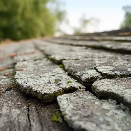 Top-rated Brandon FL roofers known for punctual service, thorough cleanup, and high-quality installs using TAMKO Heritage shingles.