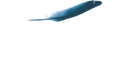 Fast Sleep by Slaviero