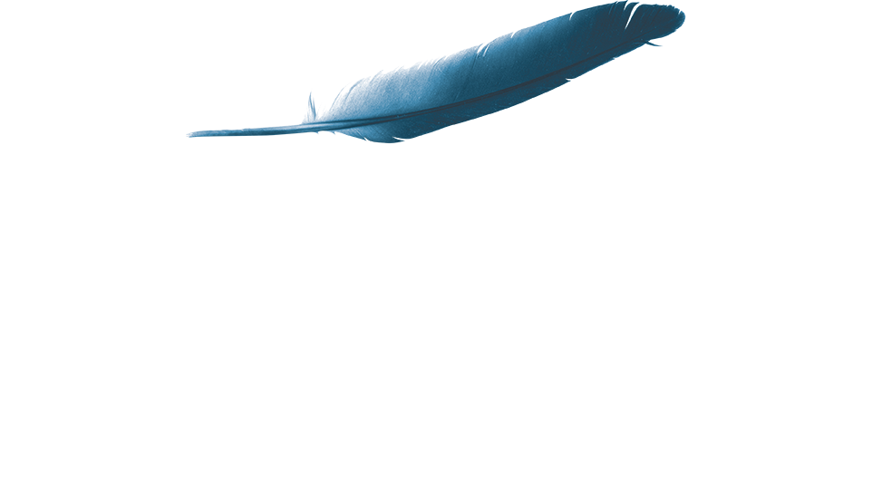 Fast Sleep by Slaviero