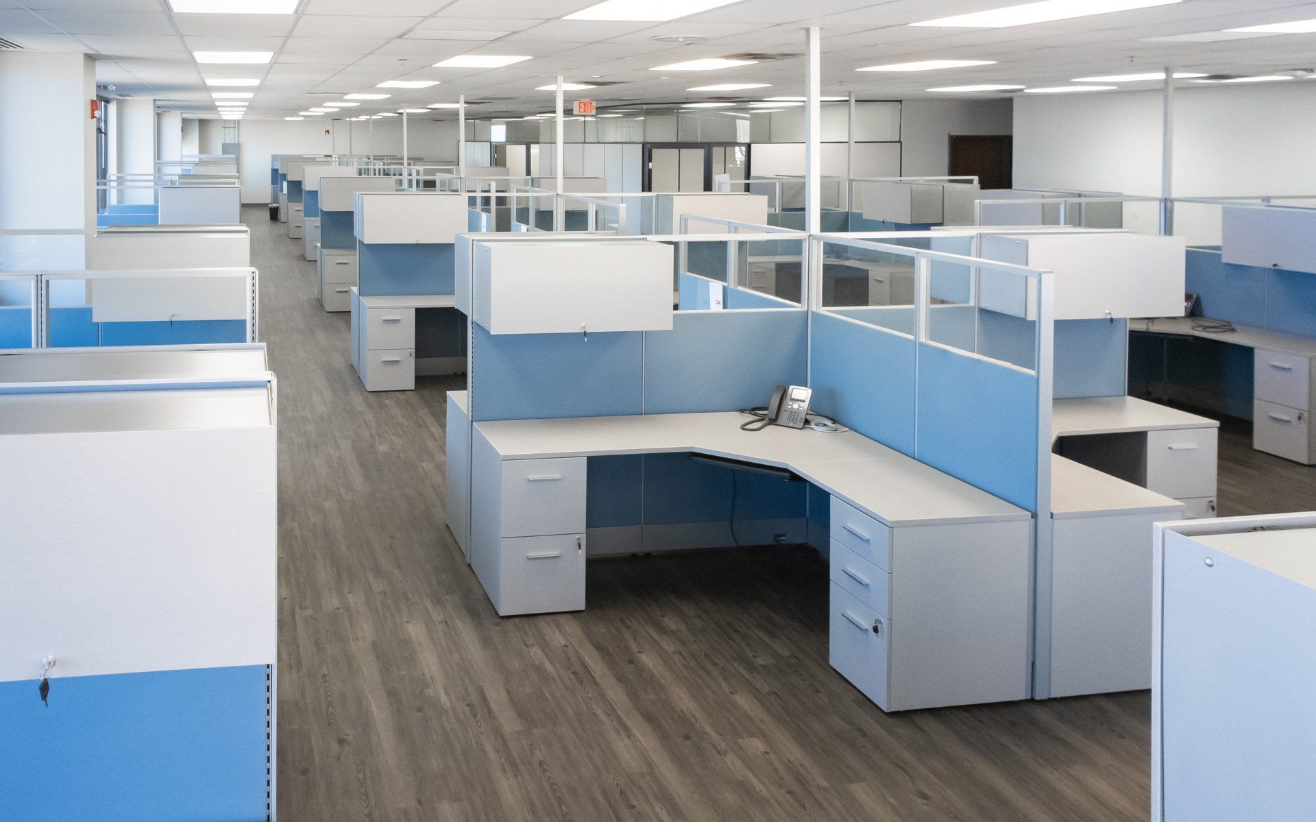 rows of blue and white cubicles in an office