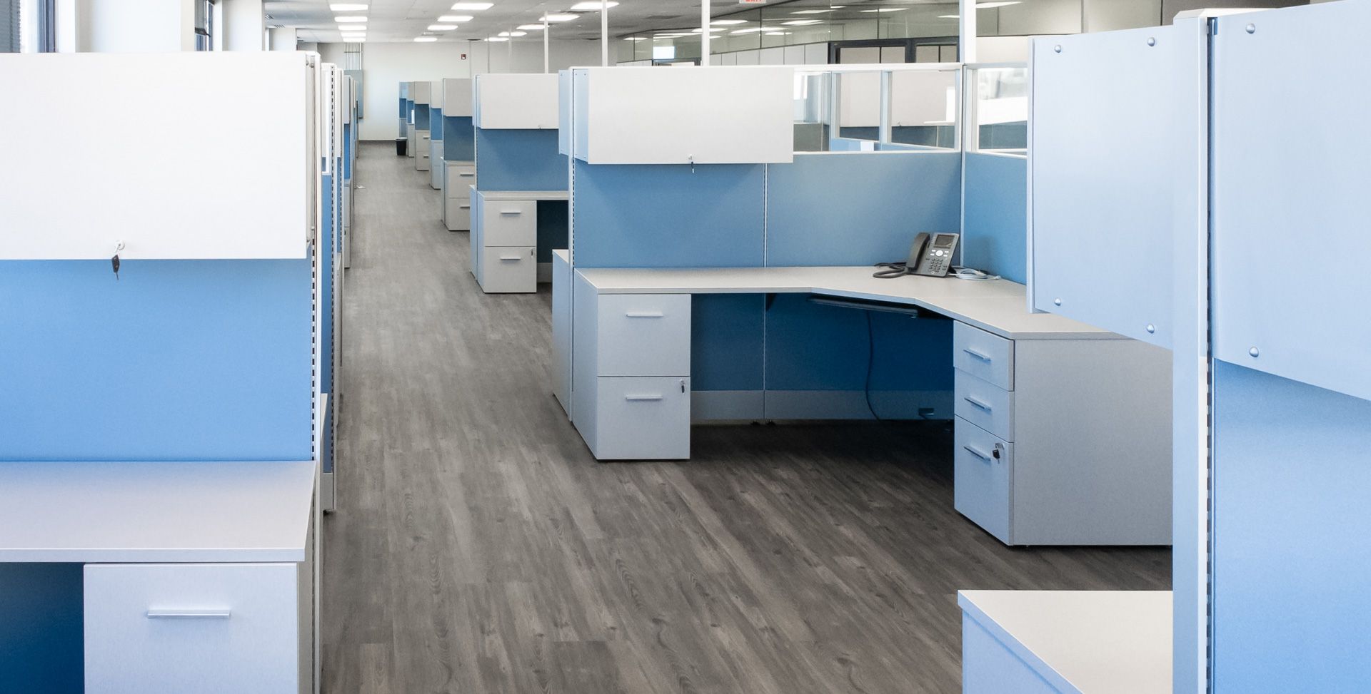 A row of blue and white cubicles in an office