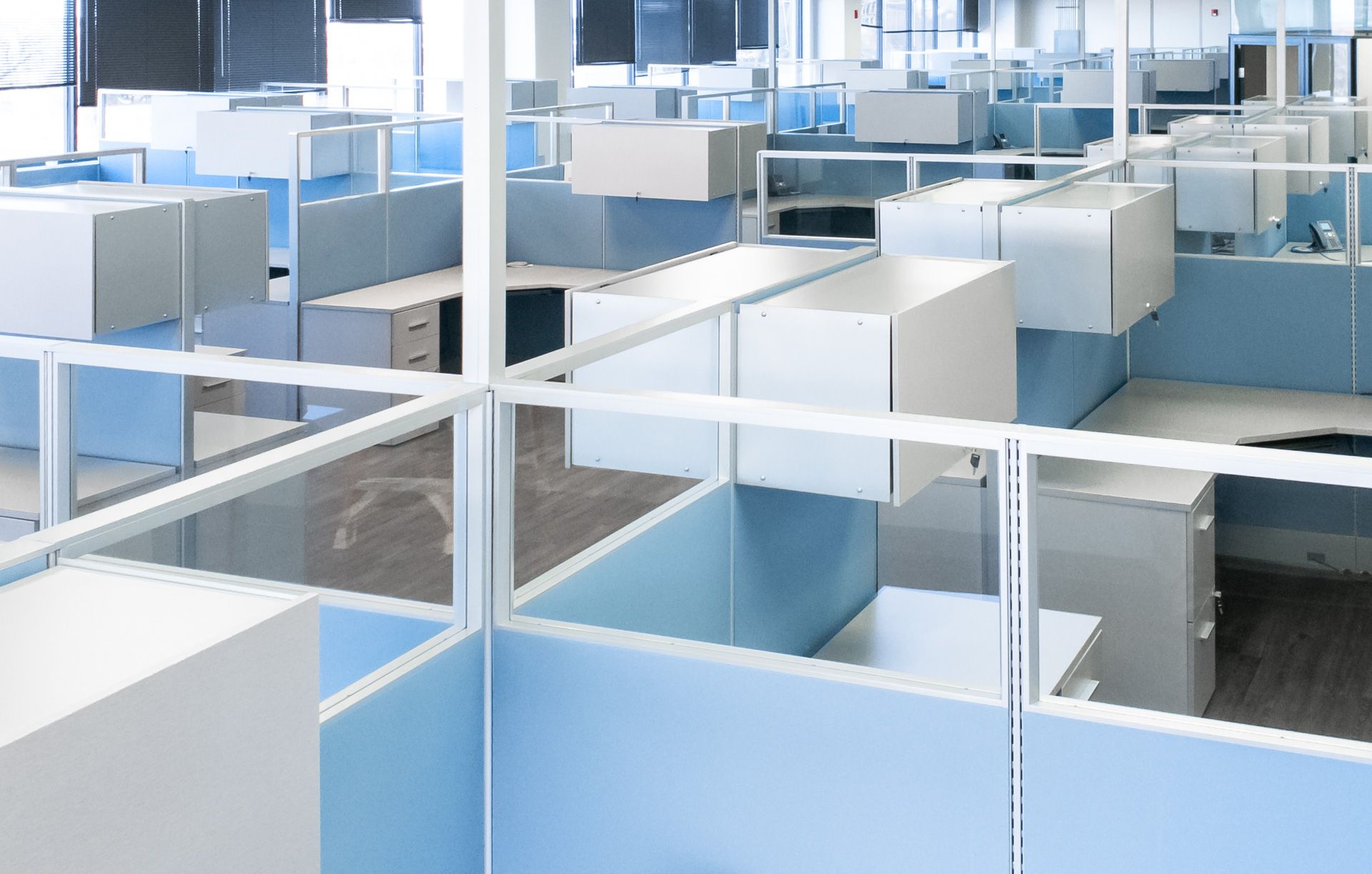 Rows of cubicles in an office with blue and white dividers.