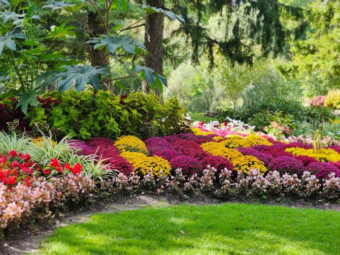 Colorful flower bed in a lush garden with red, pink, yellow, and purple blooms beneath green trees