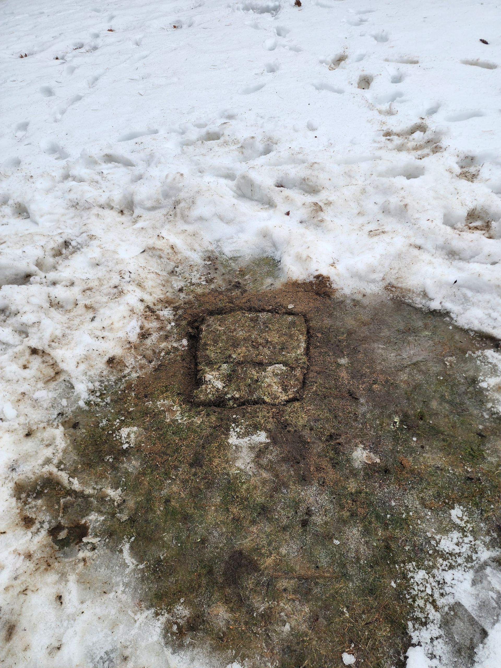 Snow-covered ground with a muddy patch and a partially buried square object.