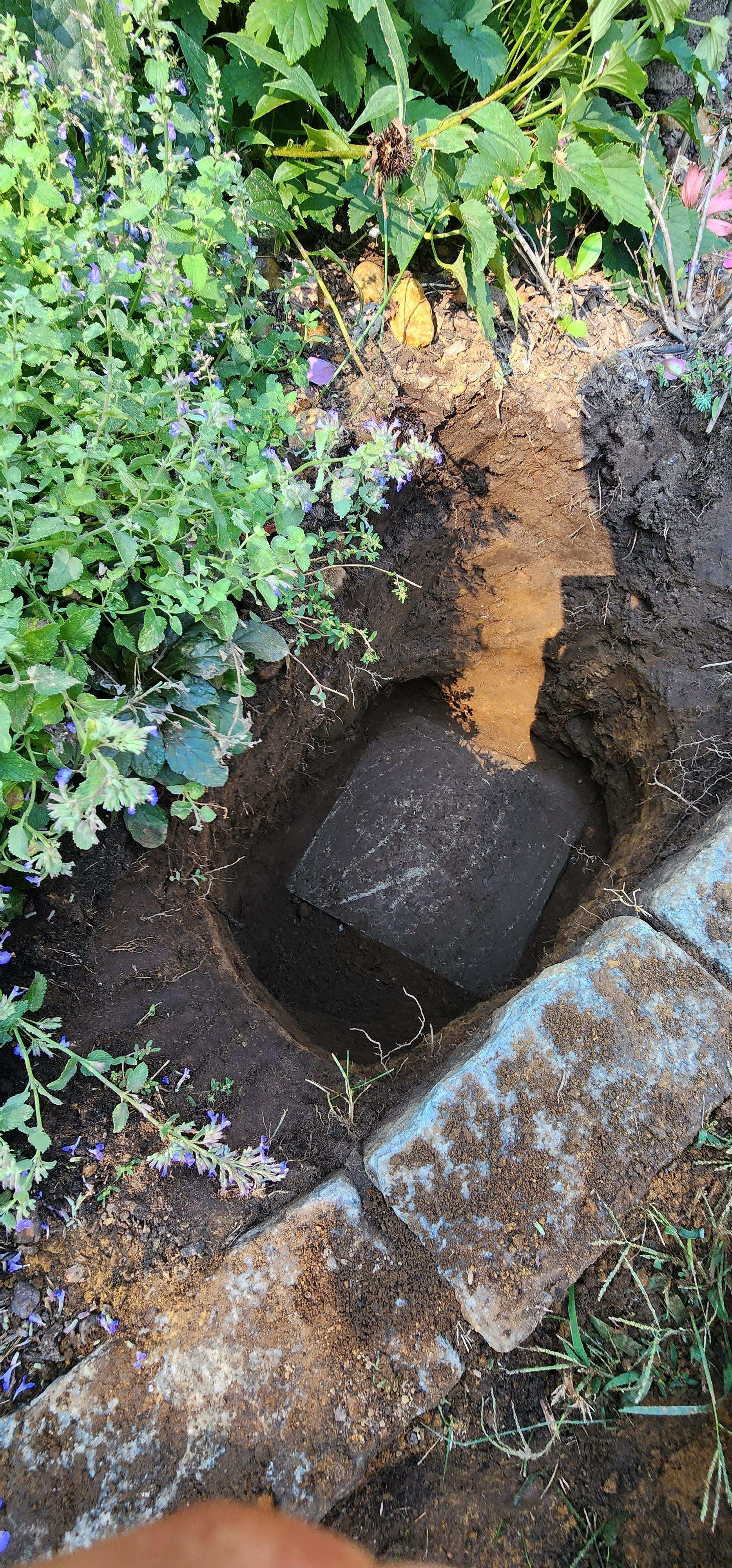 Open drain beside a muddy hole, with green plants and a rusty metal edge nearby