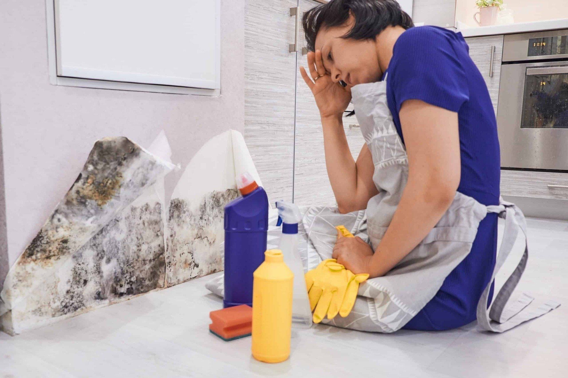 Mold Growth Cleaning — St. Louis, MO — St. Louis Cleaning and Restoration