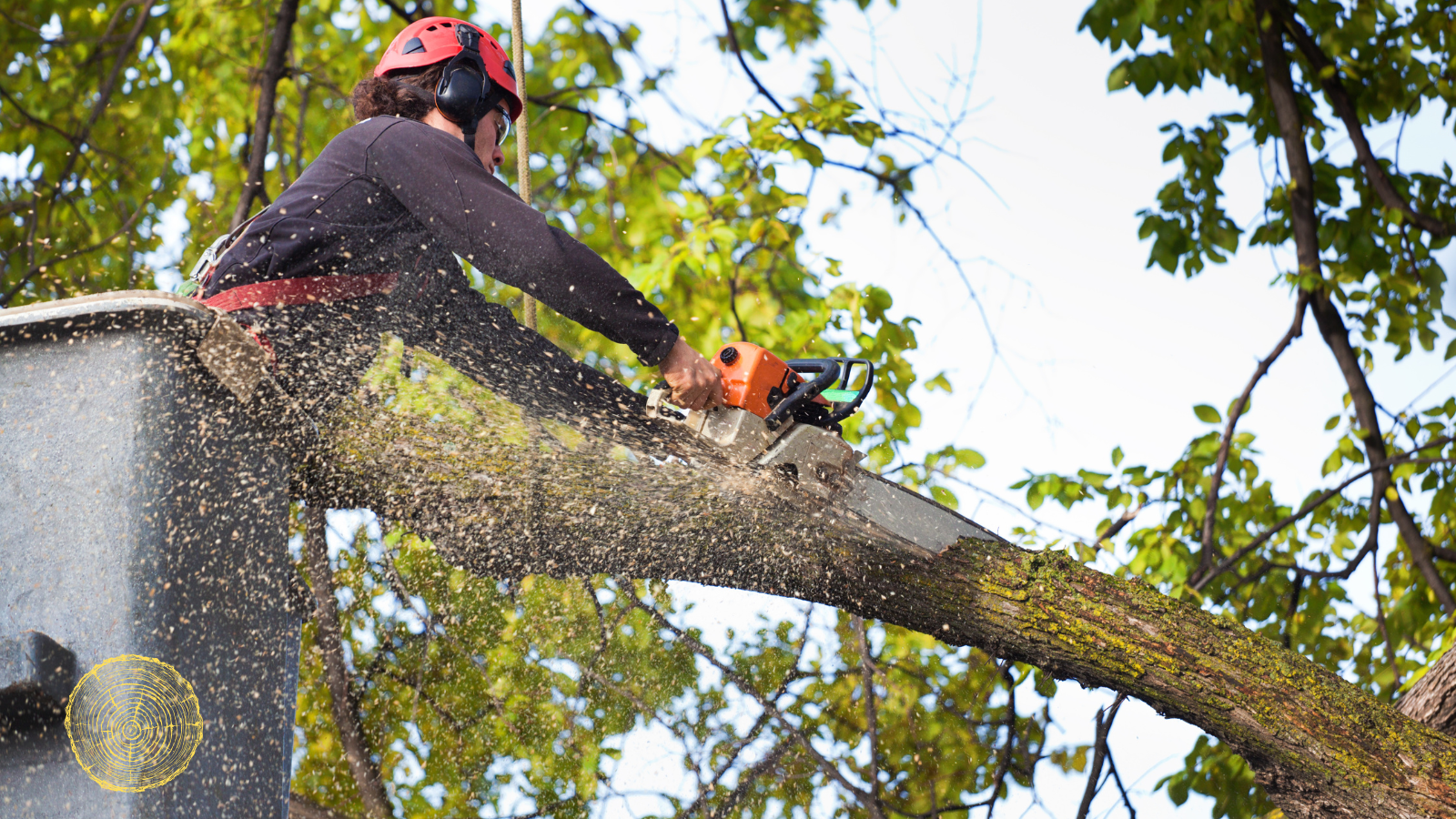 A man is cutting a tree branch with a chainsaw.