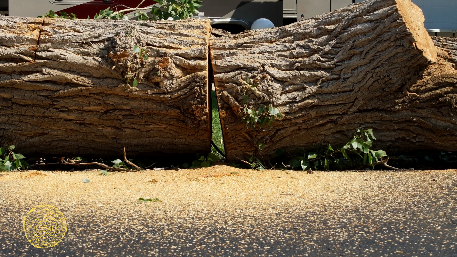 A large log is sitting on the side of the road.