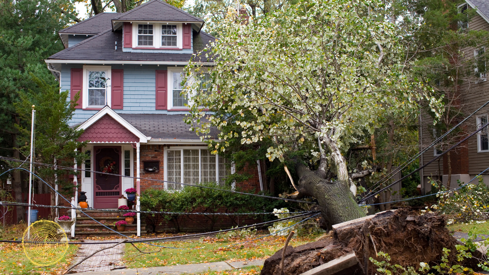 A house with a fallen tree in front of it.