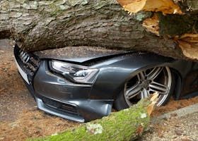 A car that has been stuck under a tree.