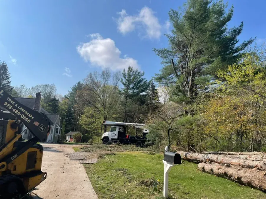 A truck is parked in a driveway next to a mailbox.
