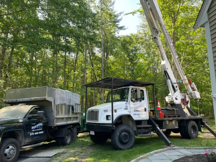 A dump truck and a crane are parked in front of a house.