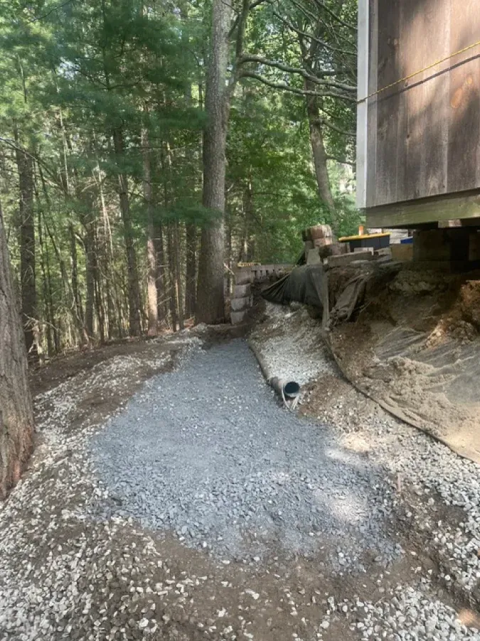 A dirt path leading to a house in the woods.