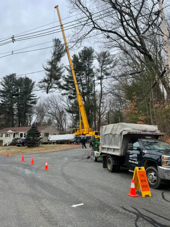A truck is parked on the side of the road next to a crane.