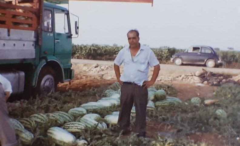 raccolta delle angurie