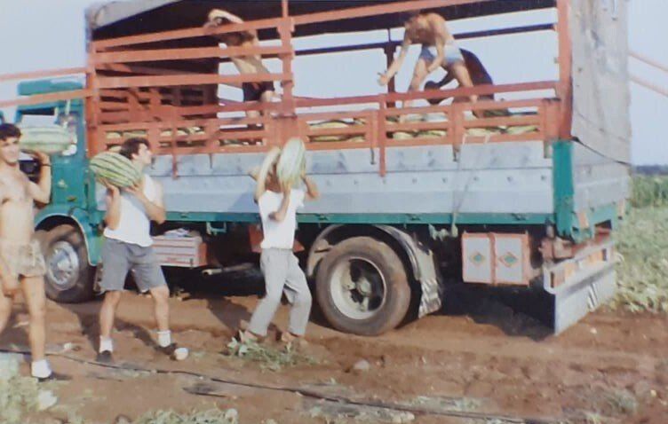 raccolta angurie e carico sul furgone