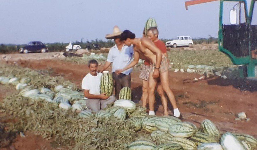 immagine storica di raccolta e vendita angurie