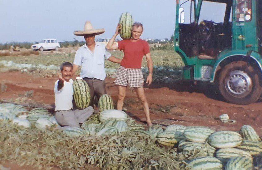 braccianti per la coltivazione e raccolta angurie