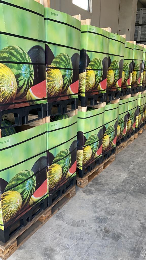 box per la spedizione di angurie e cocomeri