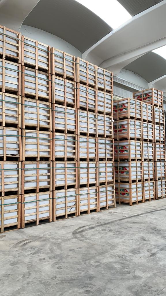 stock per la spedizione di angurie e cocomeri