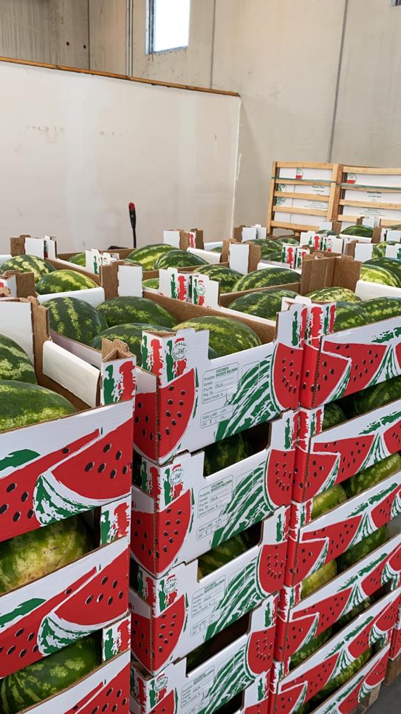 Confezionamento di angurie e cocomeri