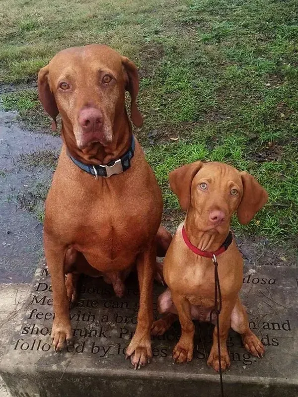 COOPER & CARSON