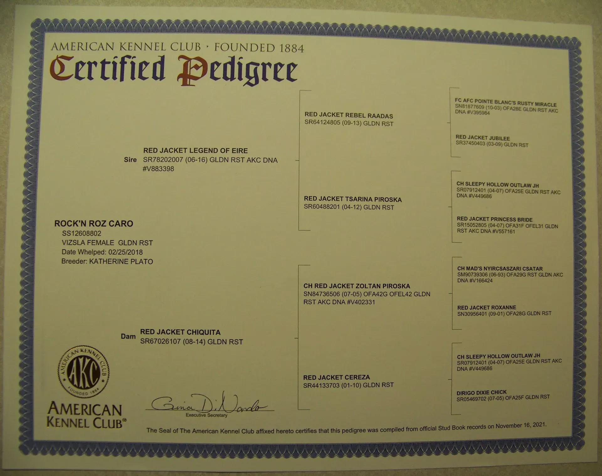 Litter From Gunner & Caro