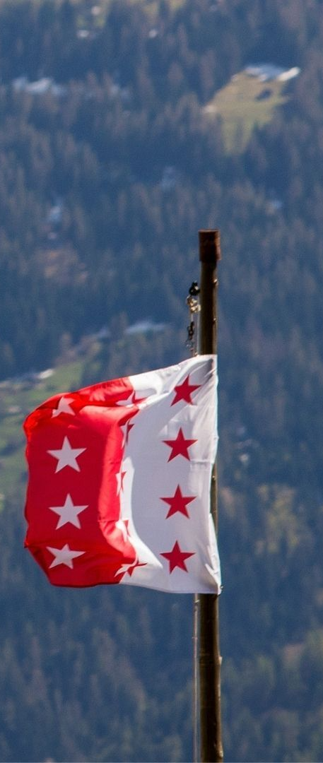 Sion agence de détectives privés