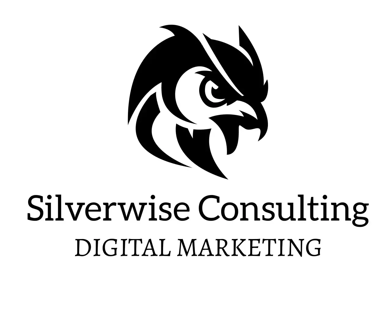 Silverwise Consulting Digital Marketing