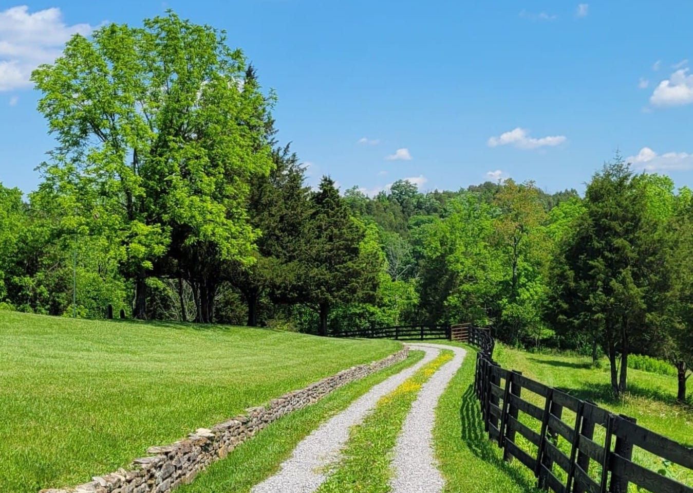 A dirt road going through a grassy field with a fence.