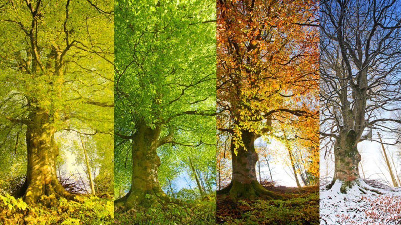 Understanding the Seasons of LIfe