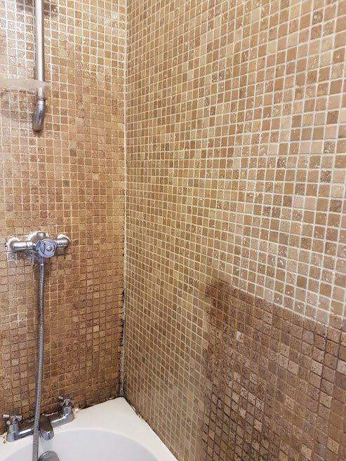 Shower wall tiles and grout cleaning