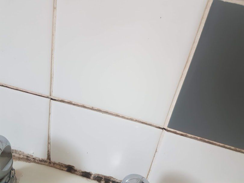 Shower Tiles and Grout Cleaning