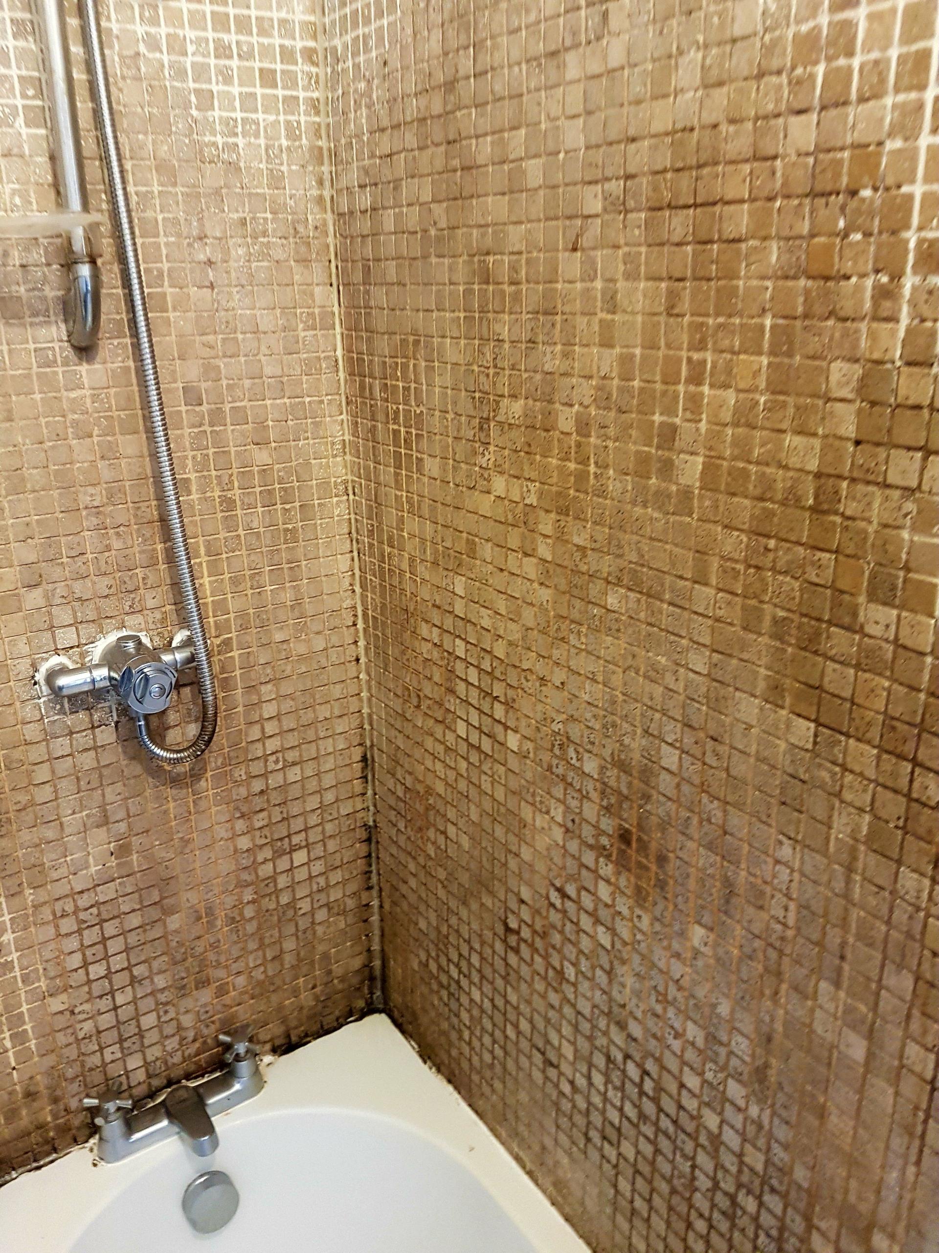 Shower Wall Tiles and Grout Cleaning