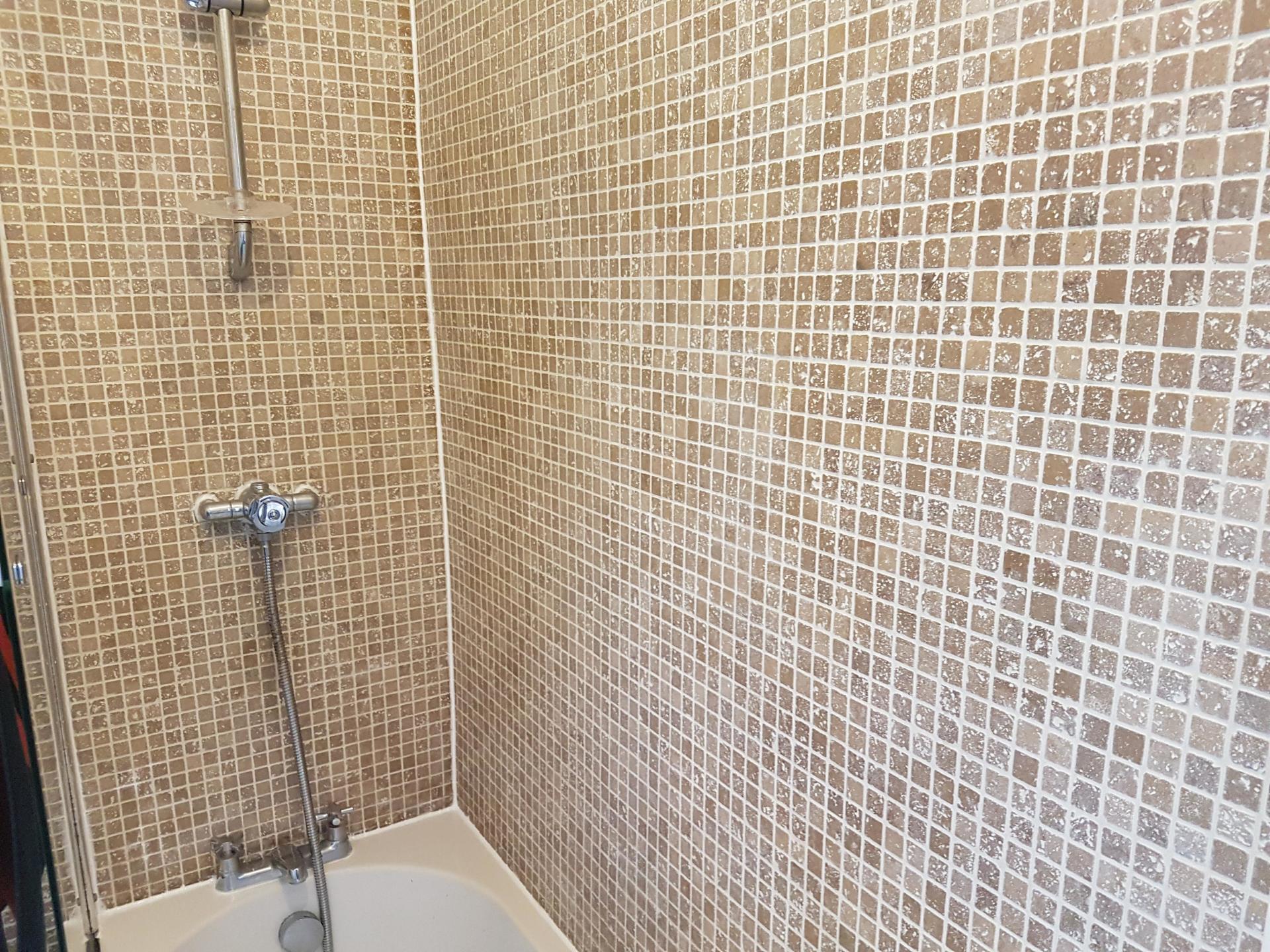 Travertine Shower Cleaned and Sealed