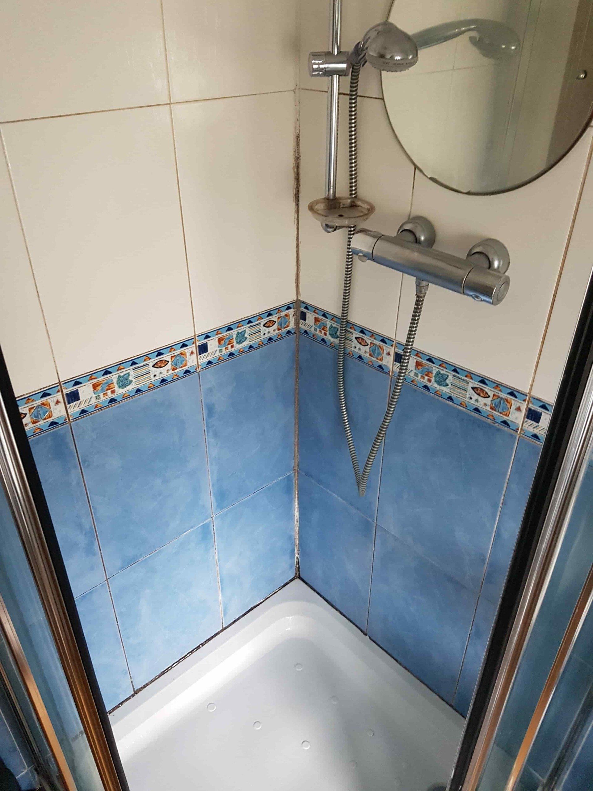 Shower Cubicle Tiles and Grout Cleaning