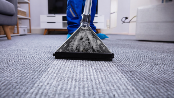 A person is cleaning a carpet with a vacuum cleaner.