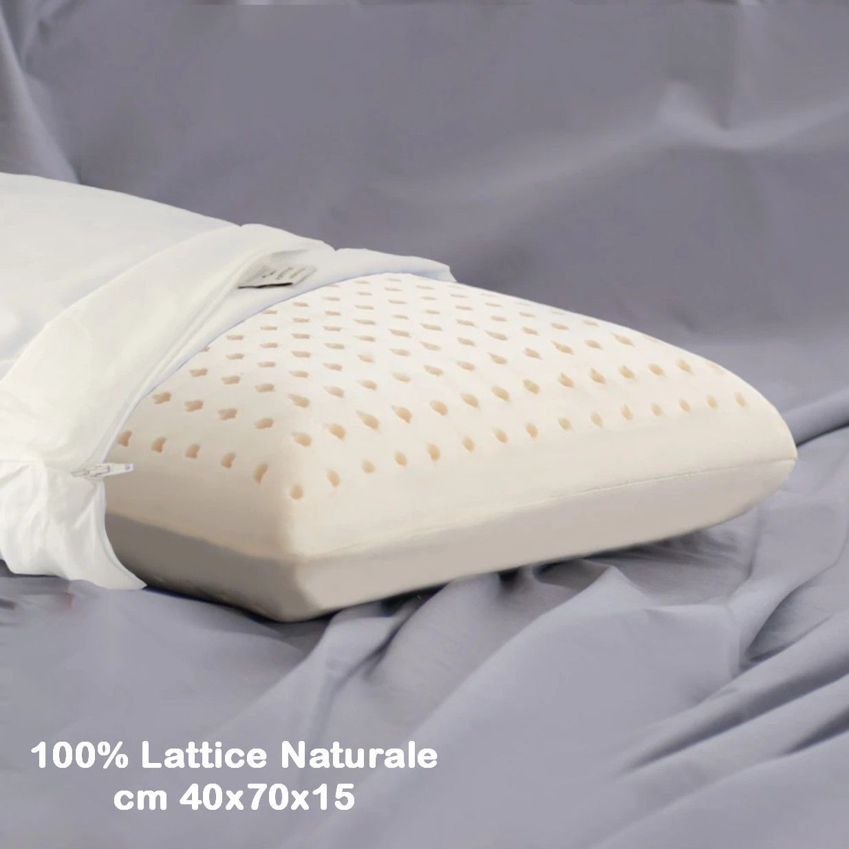 Guanciale Alma Lattice Naturale