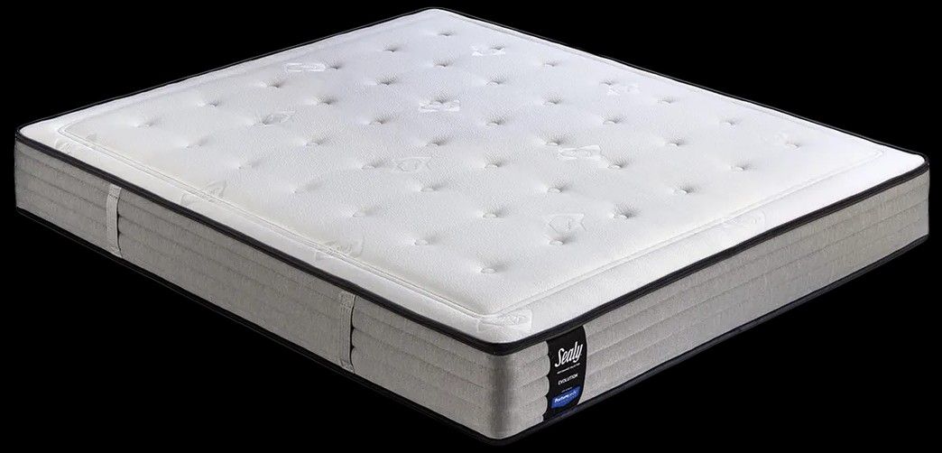 Sealy Evolution molle insacchettate indipendenti