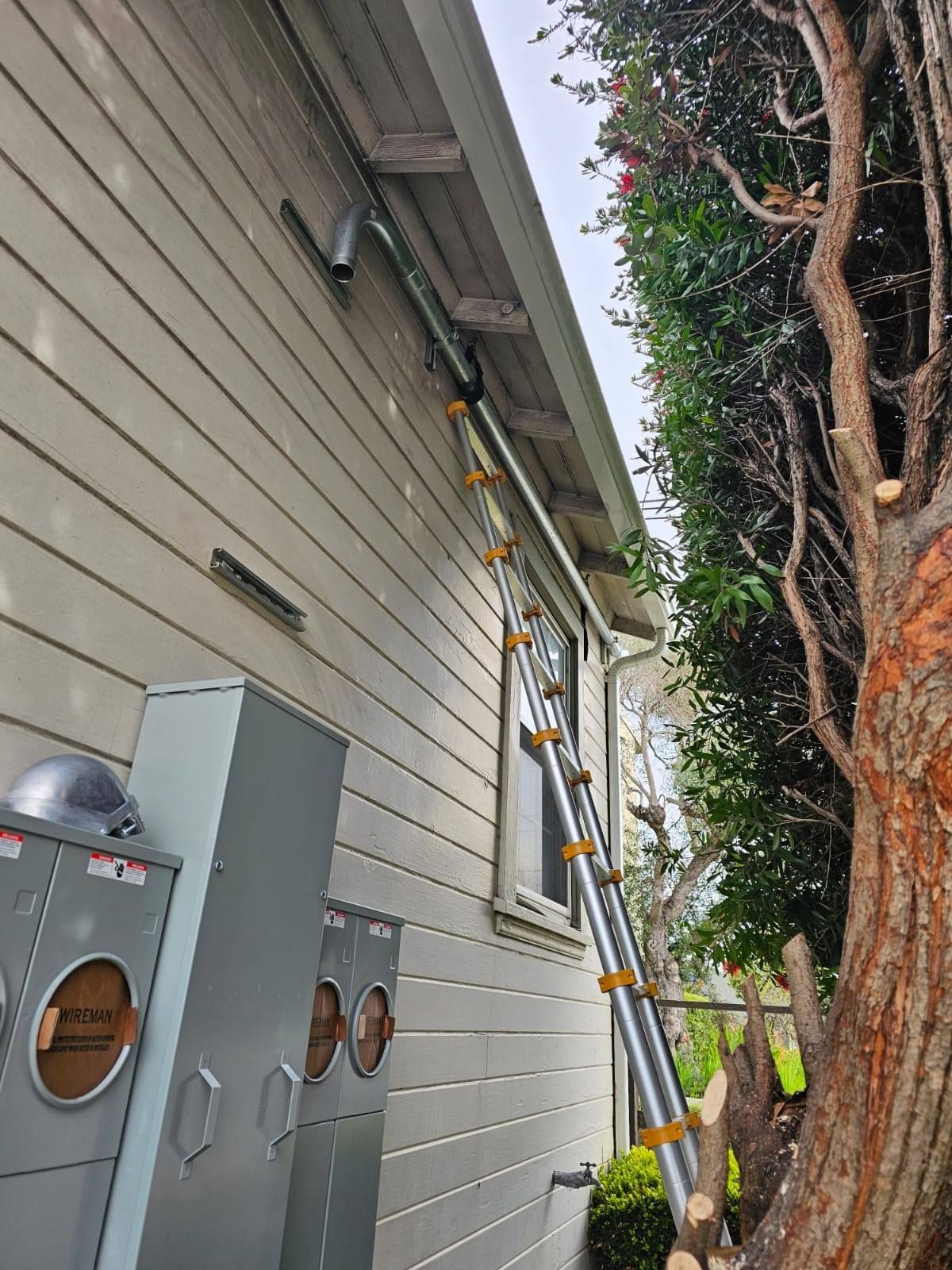 A ladder is hanging from the side of a house next to a tree.