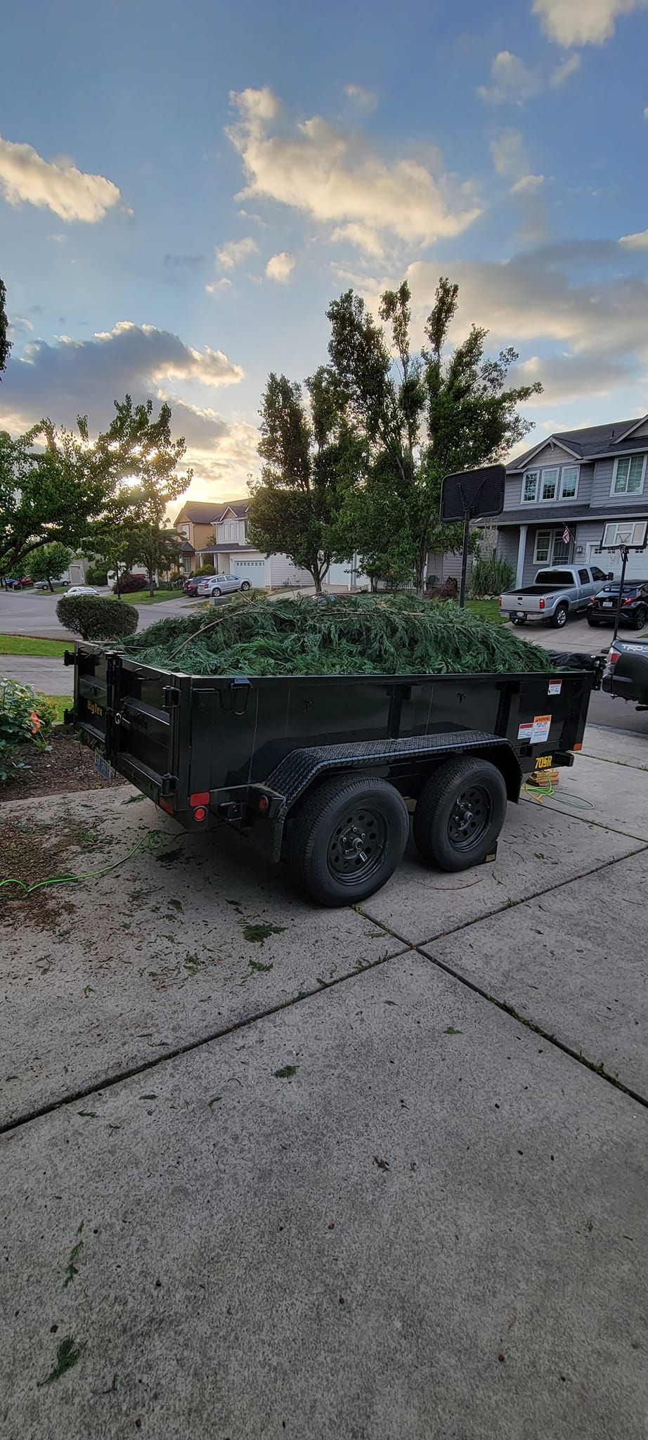 A black trailer filled with green yard waste sits on a concrete driveway, with a cloudy sky in the background.