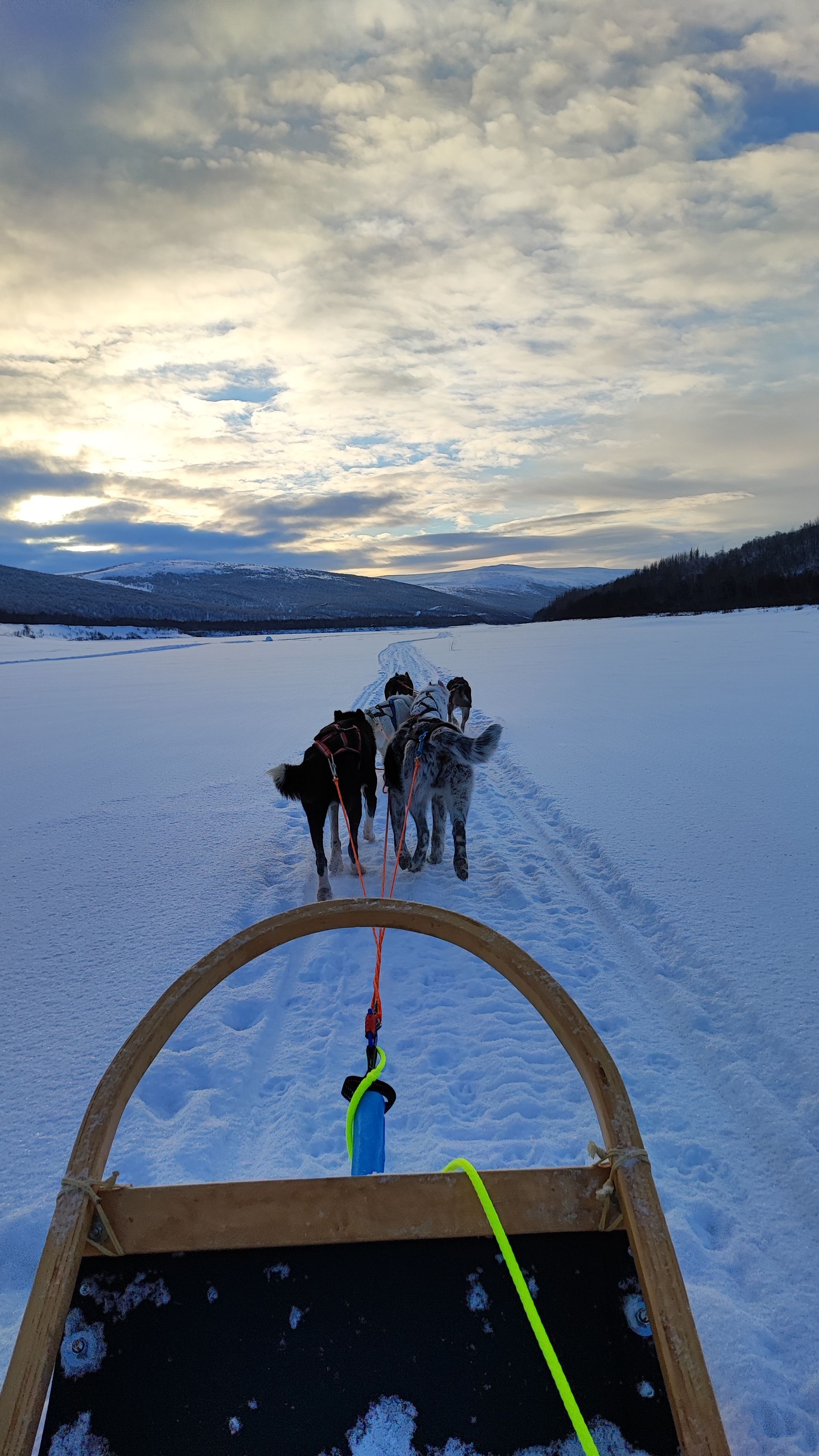 Dog sledding with huskies by Teno river in Utsjoki, lapland north