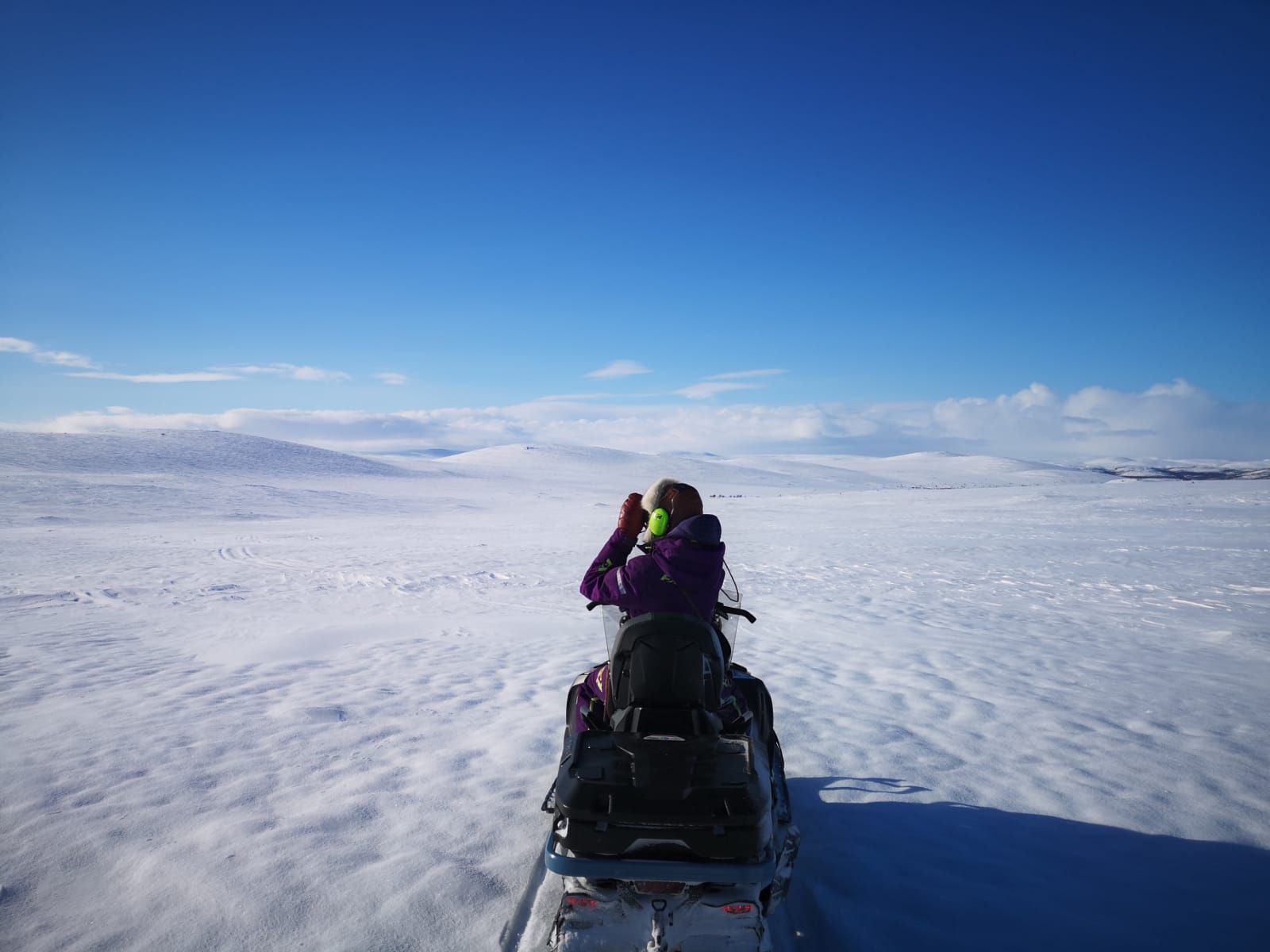 Wilderness Lapland Utsjoki Reindeer herding Paistunturi Spring snow
