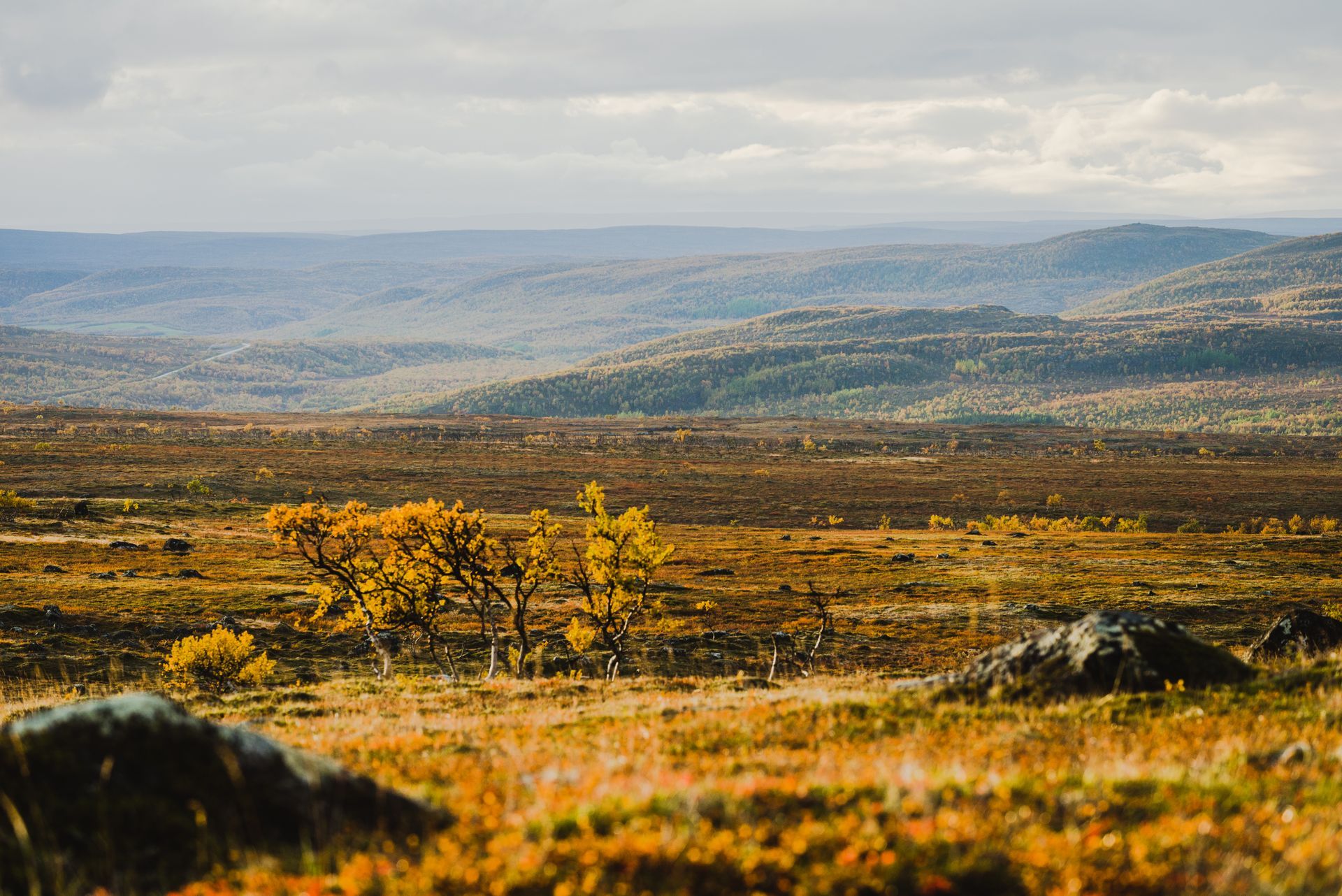 Ruska autumn colors scenery in Utsjoki